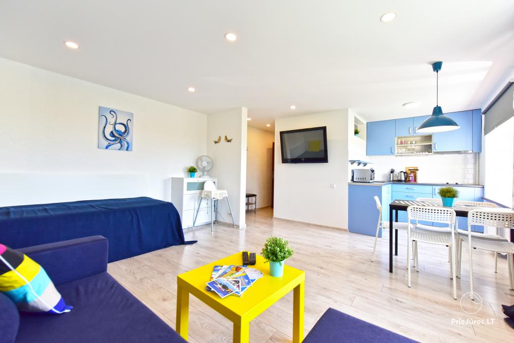 New, modern 2-room apartments on Petera street