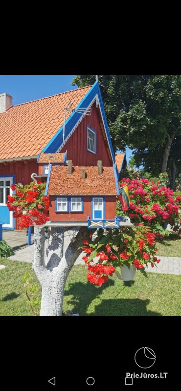 2-3-room apartments for rent in Nida. I floor, separate entrances