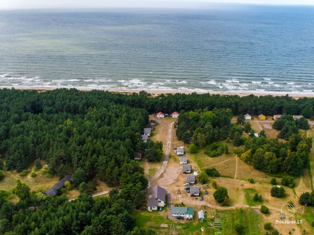 Relaxation in Papė, 90 m to the sea, from 15 euro/person. Gamtosoaze.lt - cabins, rooms, apartments