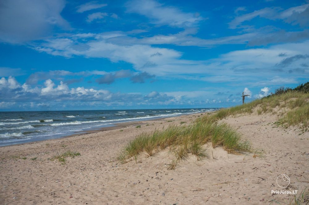 Relaxation in Papė, 90 m to the sea, from 15 euro/person. Gamtosoaze.lt - cabins, rooms, apartments