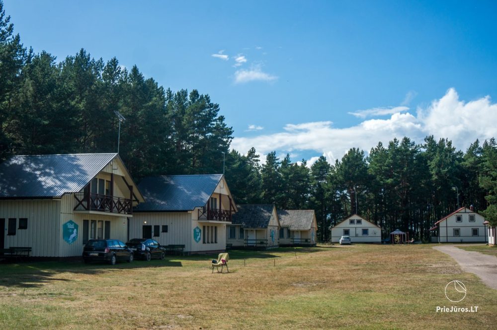 Relaxation in Papė, 90 m to the sea, from 15 euro/person. Gamtosoaze.lt - cabins, rooms, apartments