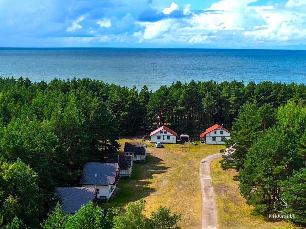 Relaxation in Papė, 90 m to the sea, from 15 euro/person. Gamtosoaze.lt - cabins, rooms, apartments