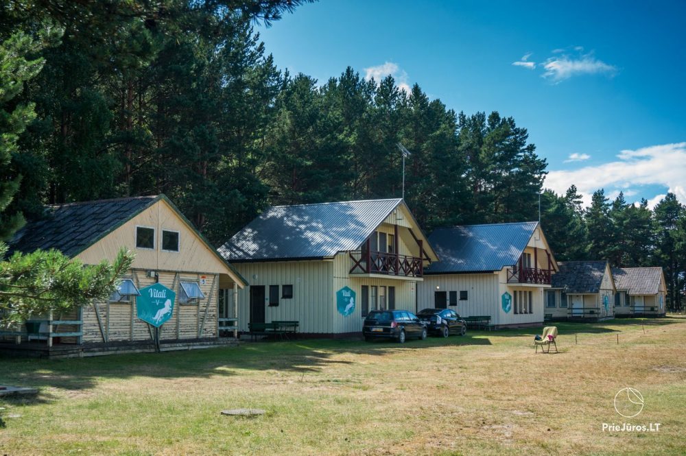 Relaxation in Papė, 90 m to the sea, from 15 euro/person. Gamtosoaze.lt - cabins, rooms, apartments