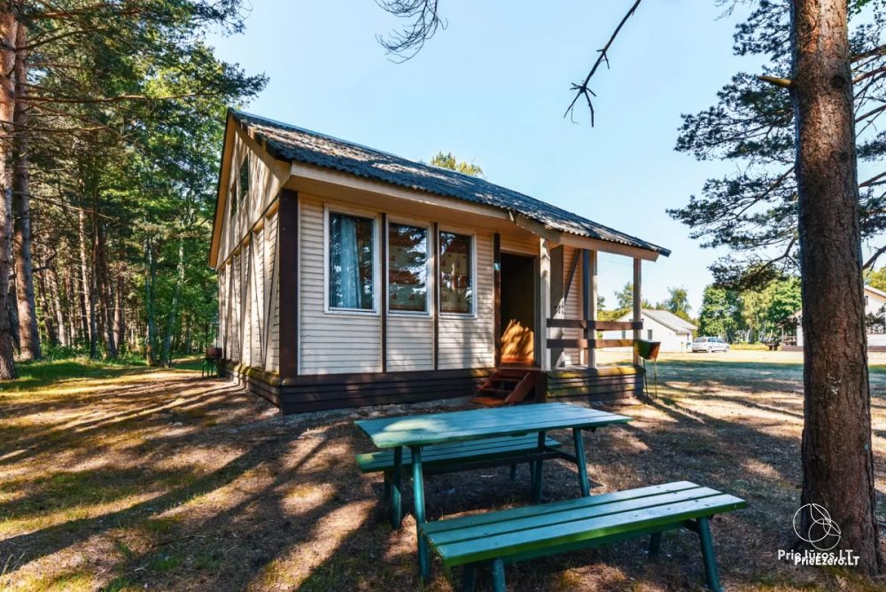 Relaxation in Papė, 90 m to the sea, from 15 euro/person. Gamtosoaze.lt - cabins, rooms, apartments