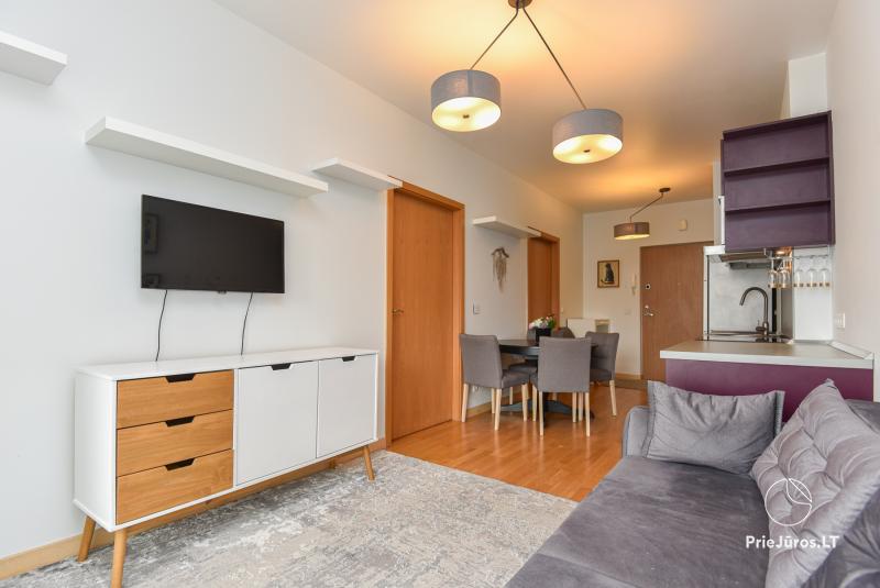 Cosy, modern furnished flat for rent in Palanga