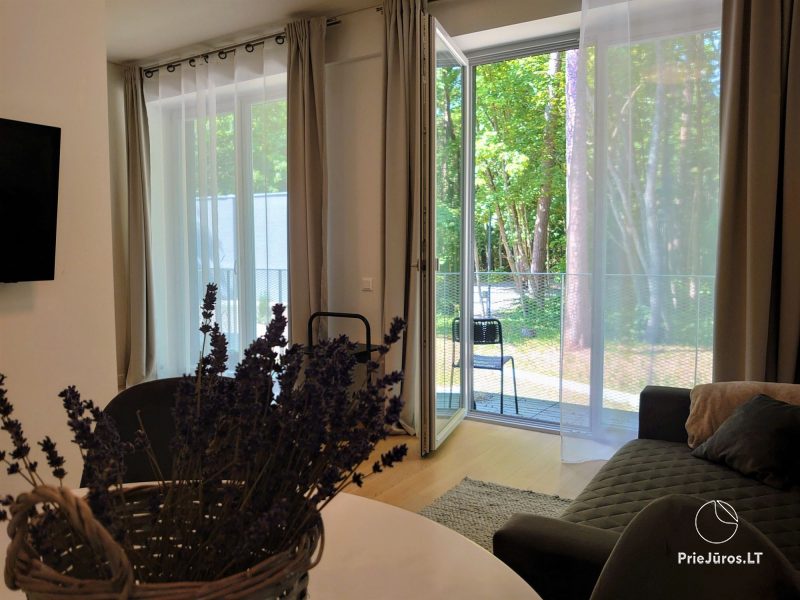New apartments studio type and with two bedrooms in Juodkrante for 2-6 persons
