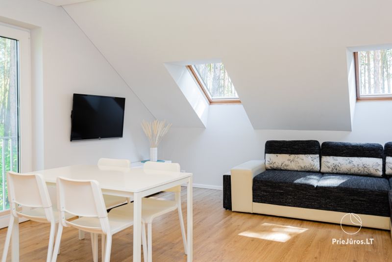 Wohnungen mit Blick auf den Pinienwald zu vermieten in Preila Preila4You