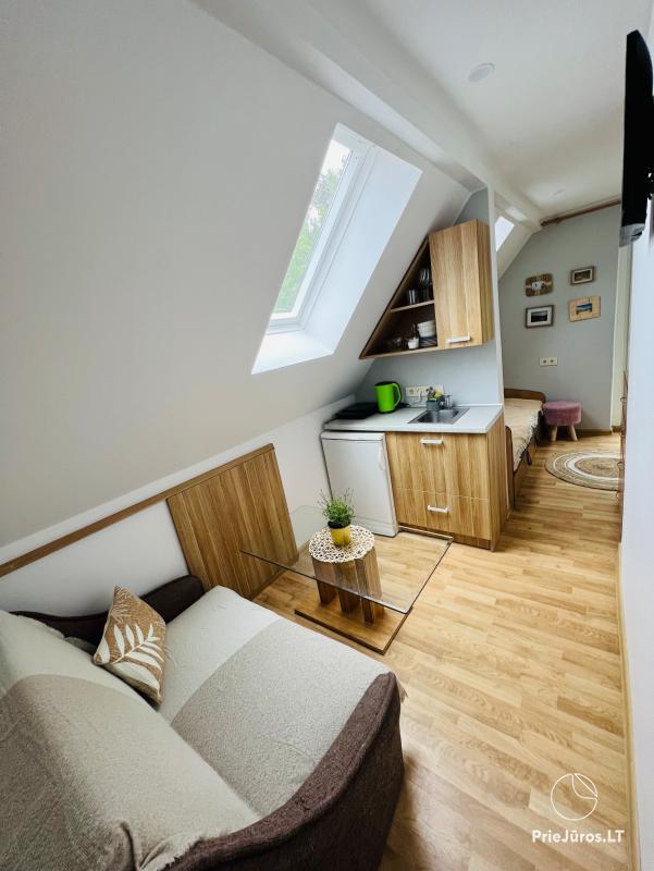 Three flats for rent in Juodkrante next to the forest