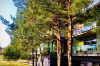 Bright, cosy 2 rooms flat for rent in Palanga