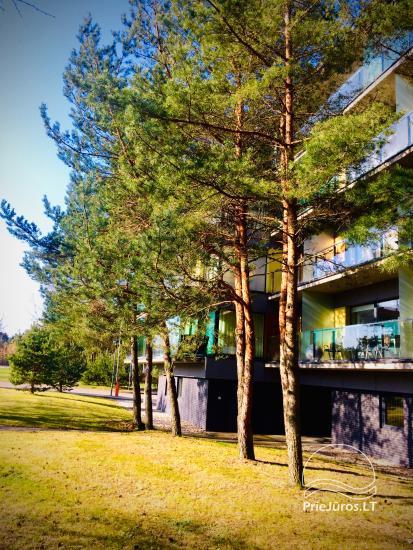 Helle, gemütliche 2 Zimmer Wohnung in Palanga zu vermieten