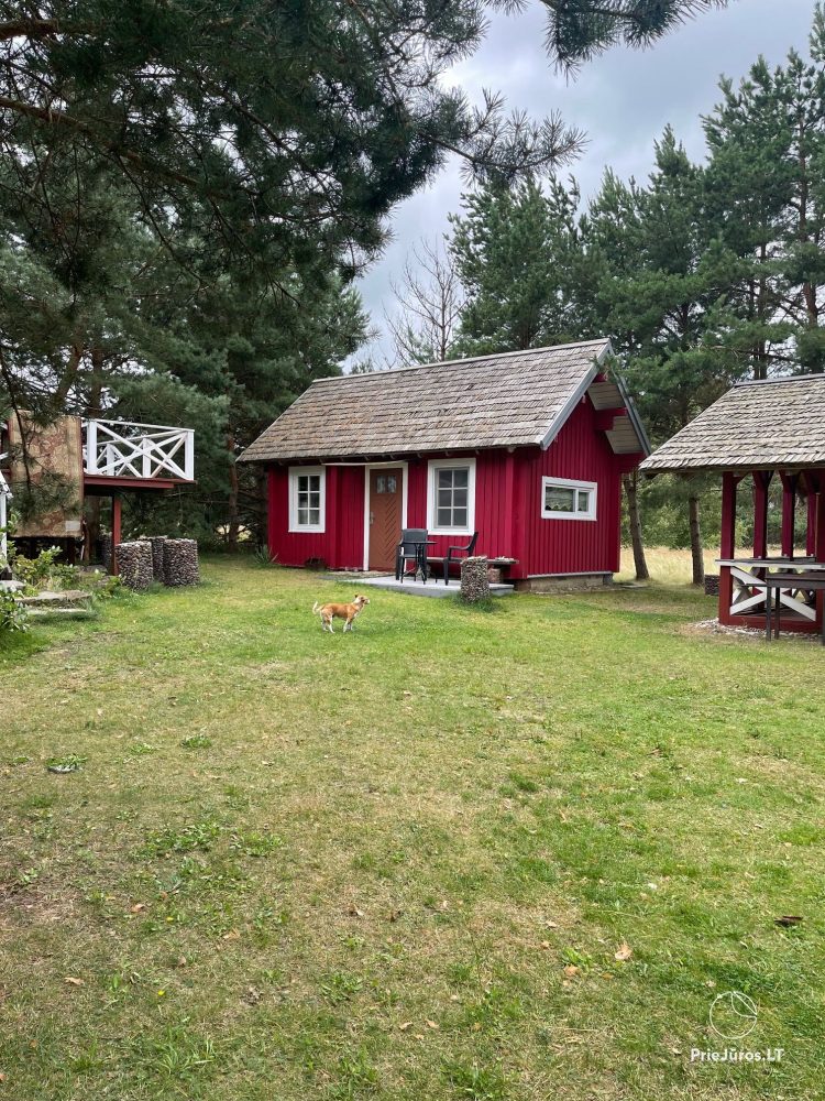 130 m. zum Seegehöft Žvaguli - 1