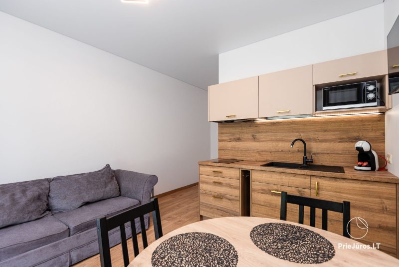Rest house and apartments for rent in Palanga and in Kunigiskiai