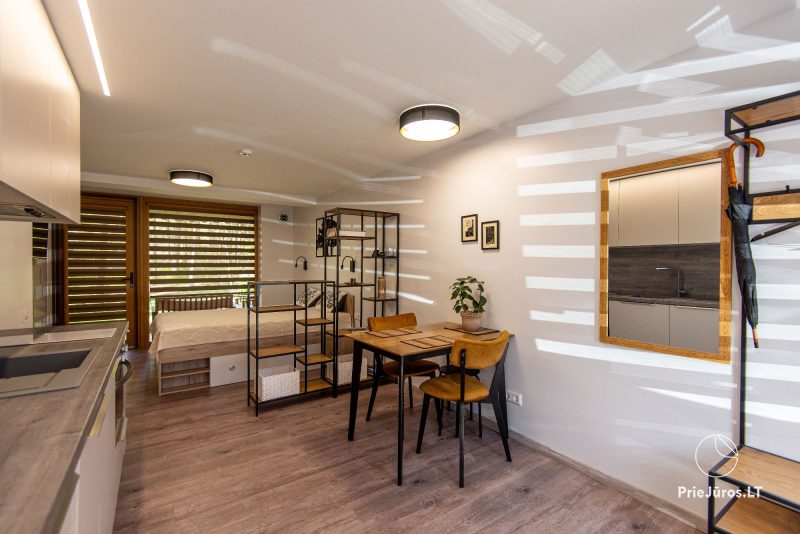 Studio-type living space for rent