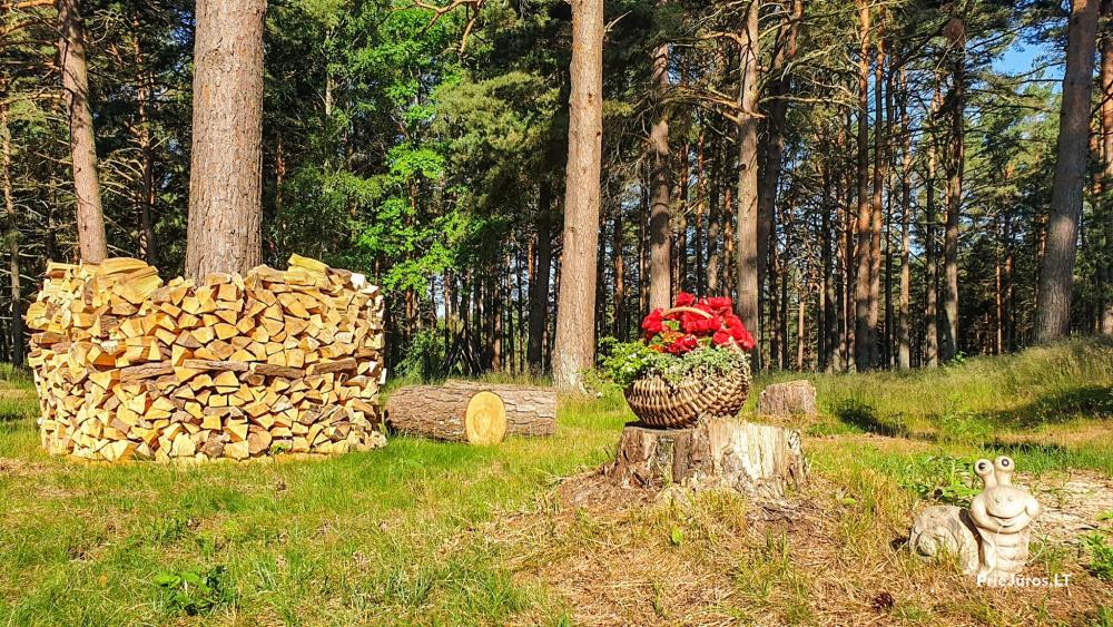 Guest House “Saulgriezes”. Apartments for vacation, sauna, hot tub, banquet hall