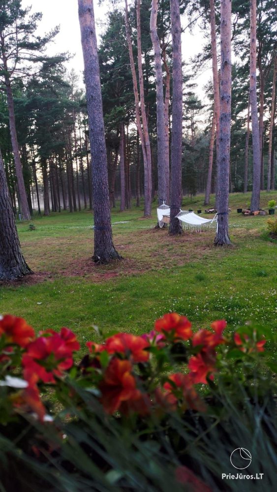 Guest House “Saulgriezes”. Apartments for vacation, sauna, hot tub, banquet hall