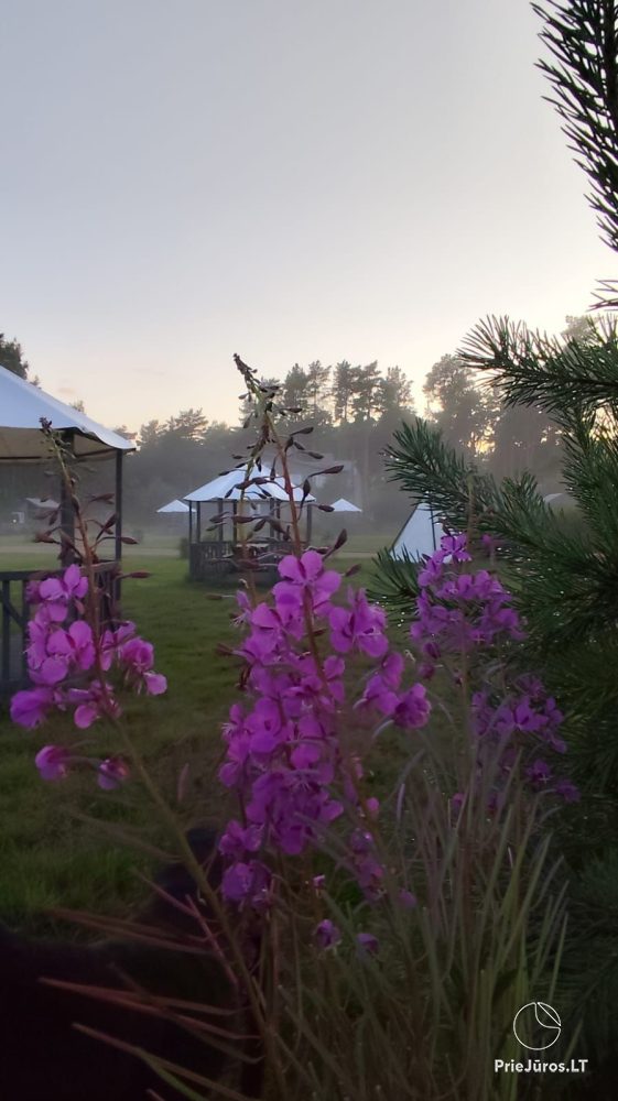 Guest House “Saulgriezes”. Apartments for vacation, sauna, hot tub, banquet hall