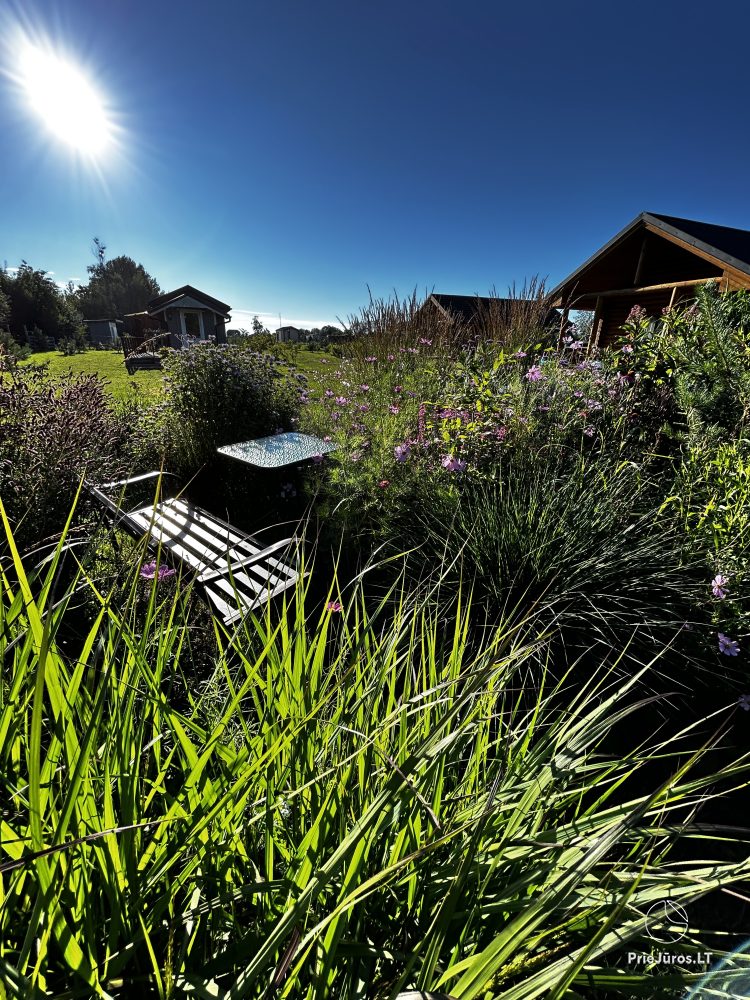 Cozy cottages for your vacation in Nida, Latvia