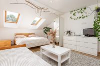 "Closer to nature" apartments for rent in Nida