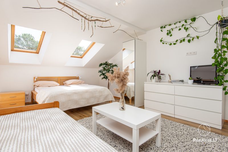 Closer to nature apartments for rent in Nida