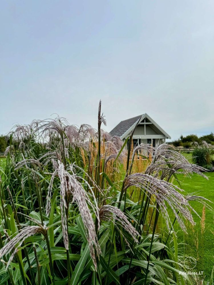 Holiday cottage and Villa Liepmalas at the sea in Nida (Latvija)