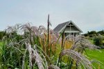 Holiday cottage and Villa Liepmalas at the sea in Nida (Latvija) - 4