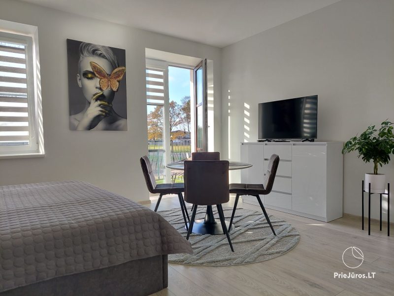 A new apartment in gray shades in Kretinga