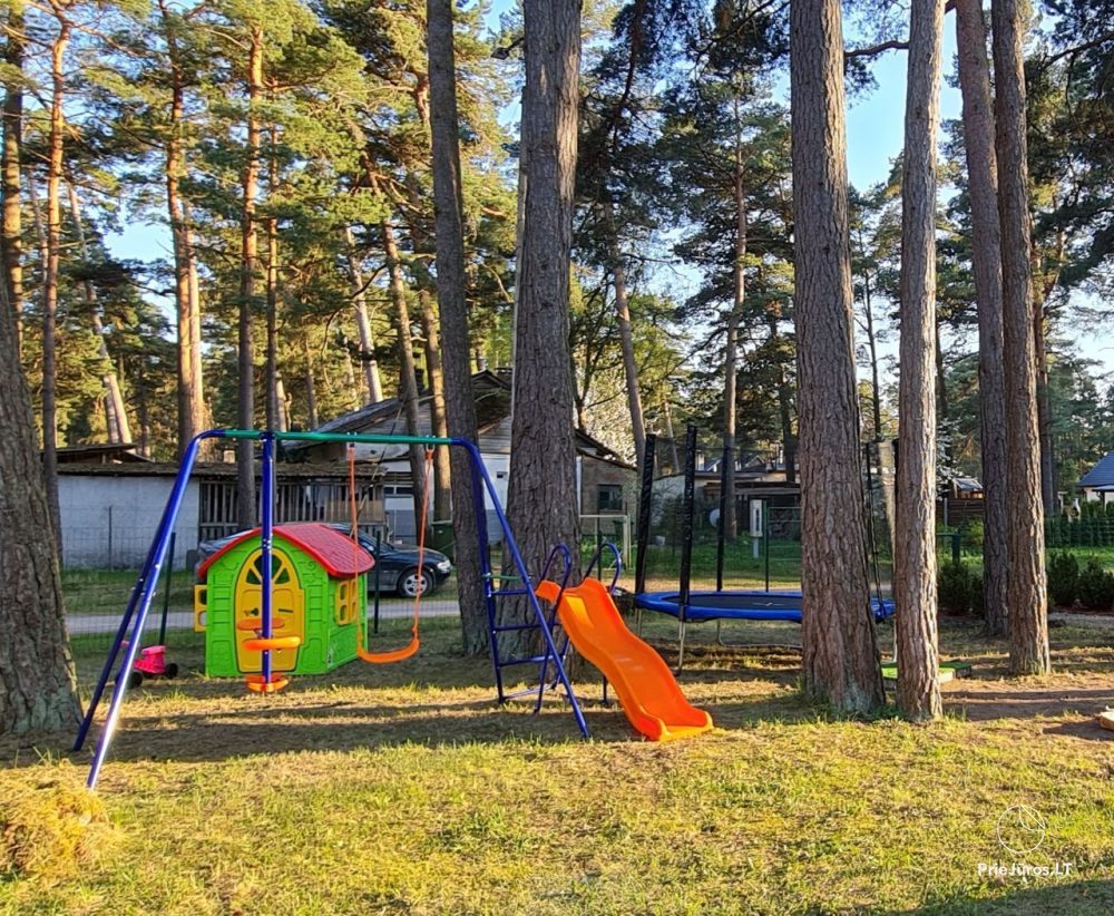 Among Seaside Pines Cottages for rent