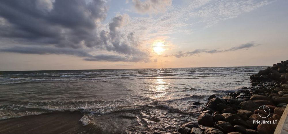 Among Seaside Pines Cottages for rent