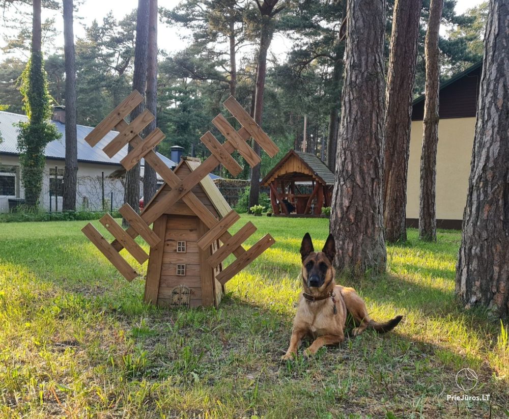 Among Seaside Pines Cottages for rent