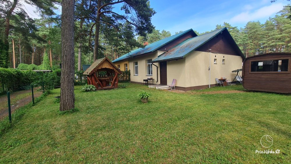 Among Seaside Pines Cottages for rent