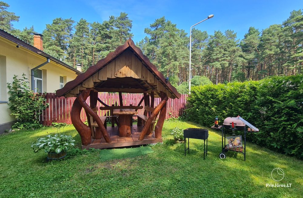 Among Seaside Pines Cottages for rent