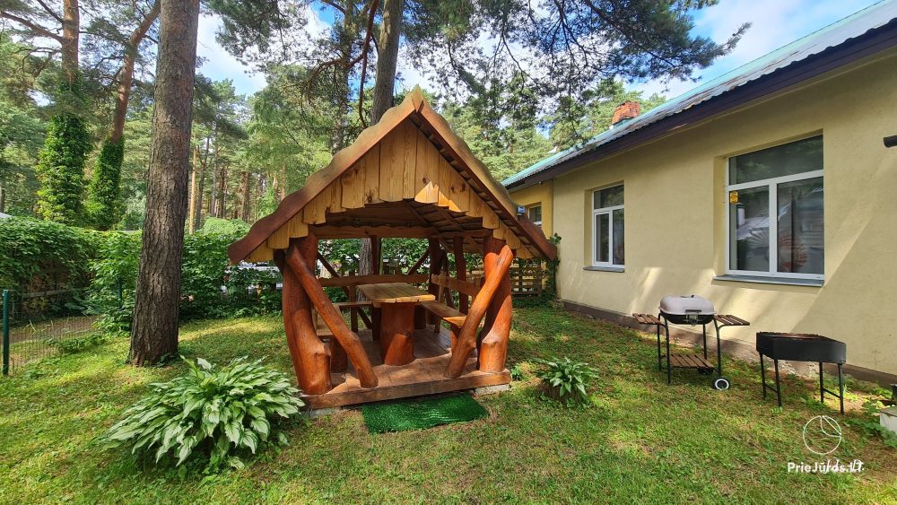 Among Seaside Pines Cottages for rent