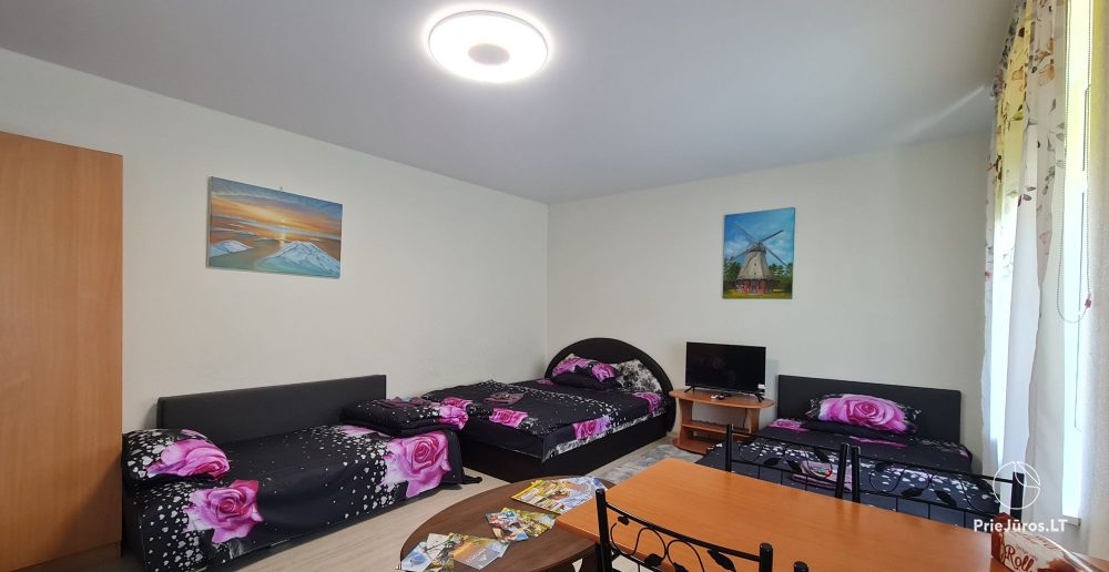 Among Seaside Pines Cottages for rent