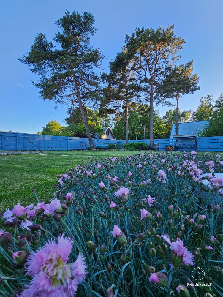 3Pines by the sea