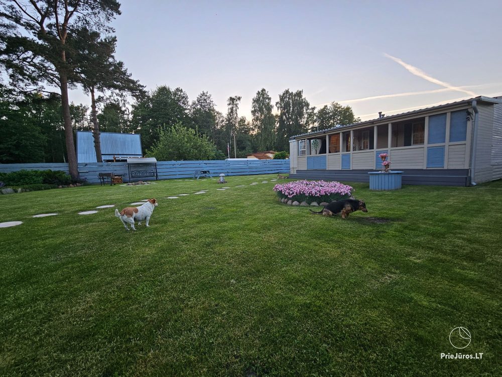3Pines by the sea