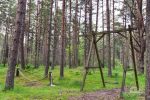 Campsite in Latvia. To the sea - 300 m