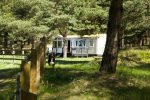 Holiday house in the pine forest Tago Forest House