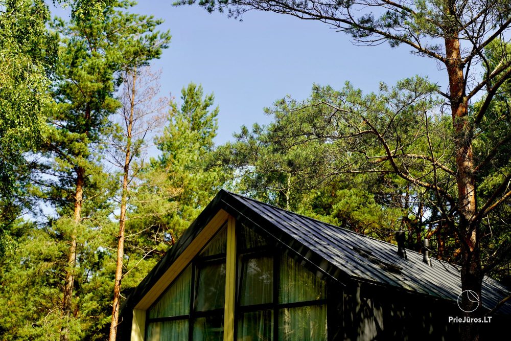 Holiday house in the pine forest Tago Forest House