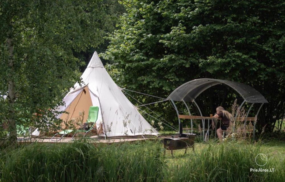 Camping-glamping and holiday cottage Fluffy Horns