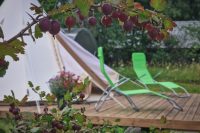 Kämping, glamping ja puhkemajad „Fluffy Horns“
