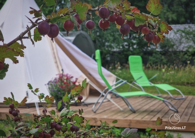 Camping-glamping and holiday cottage Fluffy Horns