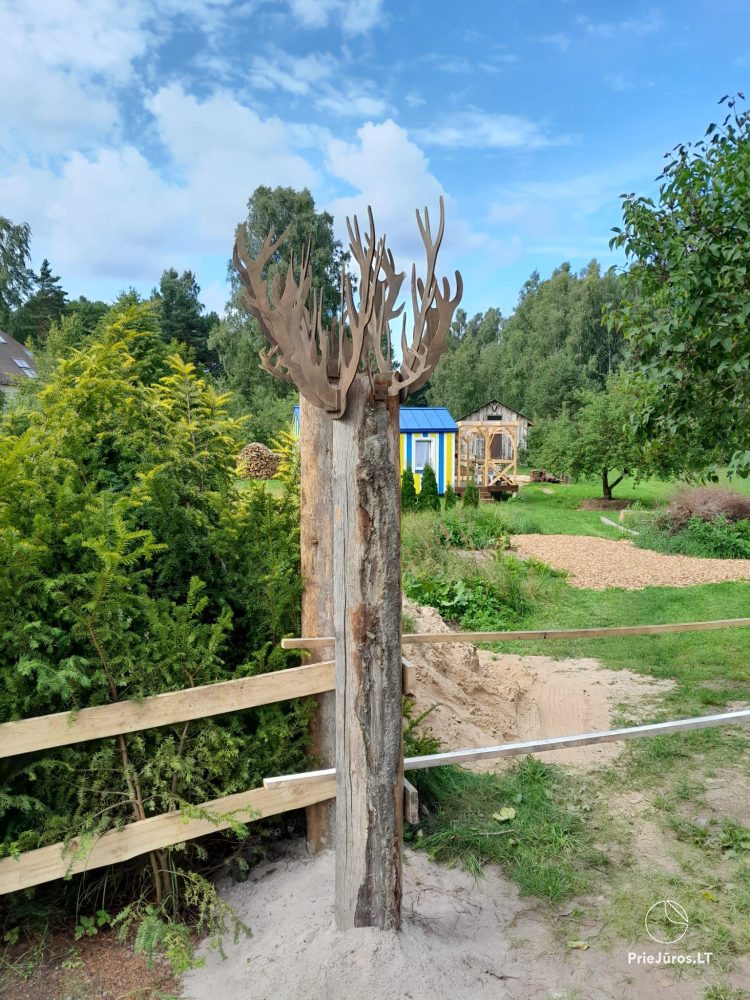 Camping-glamping and holiday cottage Fluffy Horns