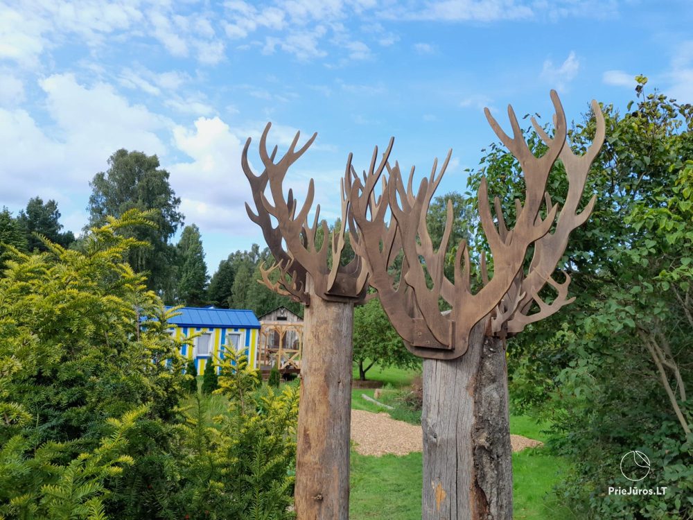 Camping-glamping and holiday cottage Fluffy Horns
