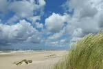 Homestead Sea calmness - 5