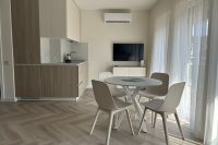 Apartment in the center of Nida town