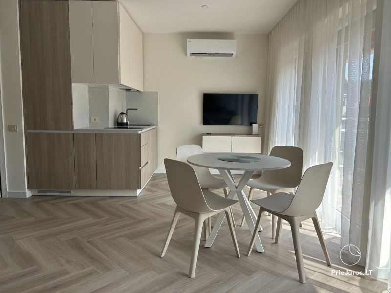 Apartment in the center of Nida town