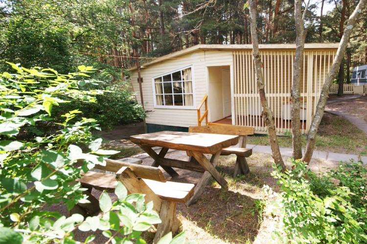 Wooden bungalows near the Baltic sea Penguin