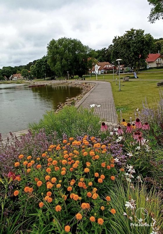 Apartments Pamario juosta, Juodkrantė