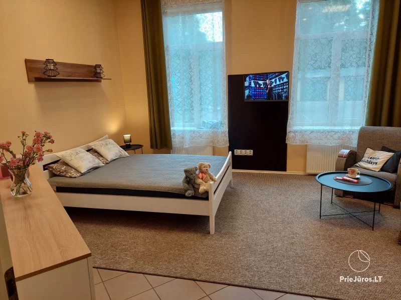 PUNKTS 53. Einzimmerwohnung mit Außenterrasse im Garten