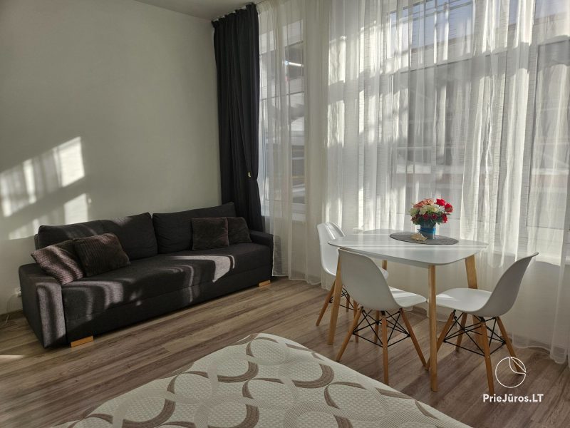 Apartamenty w centrum Nidy Seashell Nida Apartments